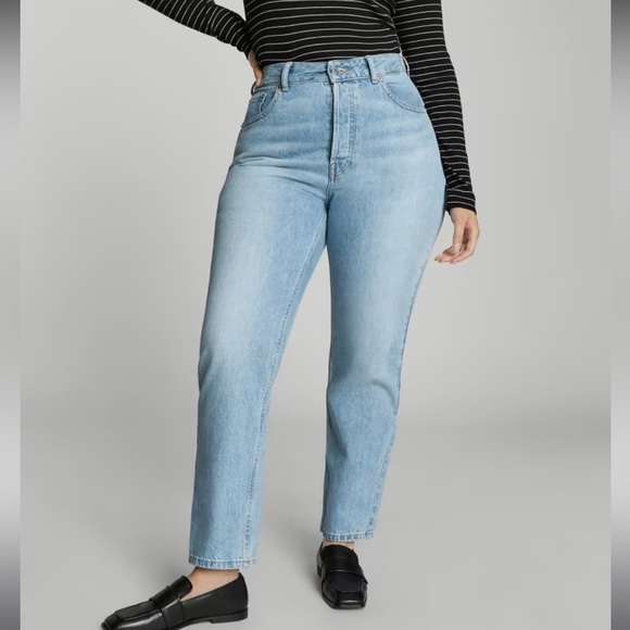 Everlane Curvy 90s Cheeky Straight in Denim | Size 28R - Picture 2 of 16
